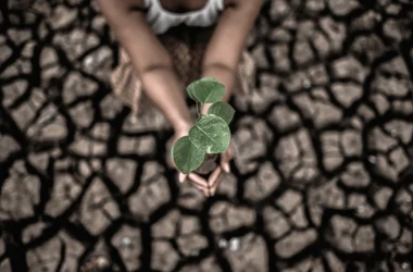 Studiu HP Schimbari climatice ECSR