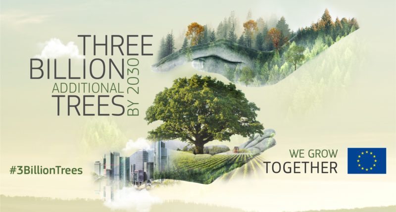 3 Billion Additional Trees by 2030 - ECSR