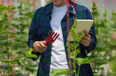 Raport de Sustenabilitate ROCA Agri RDF ECSR