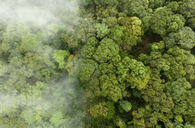 Reducere emisii cu efect de seră ECSR