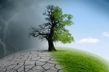 Schimbări Climatice ECSR