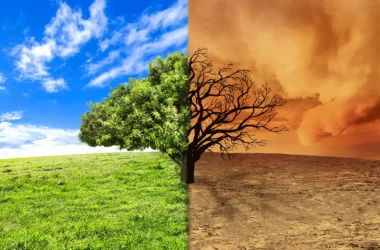 Schimbari Climatice ECSR