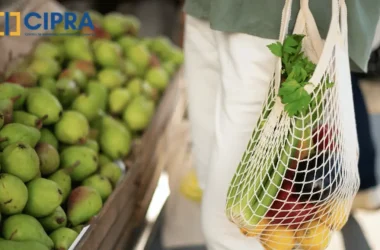 Raport CIPRA Reveal Marketing Research Sustenabilitate ECSR