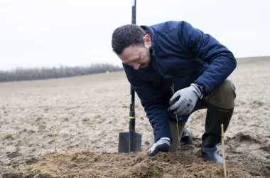 Impăduriri cu fonduri PNRR ECSR