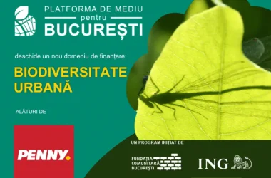 Oportunitate de Finantare Penny ECSR