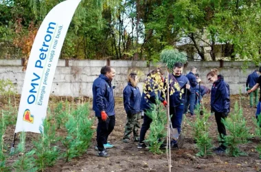 Romania Planteaza pentru Maine OMV Petrom ECSR