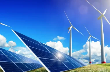 Proiecte verzi OMV Petrom ECSR