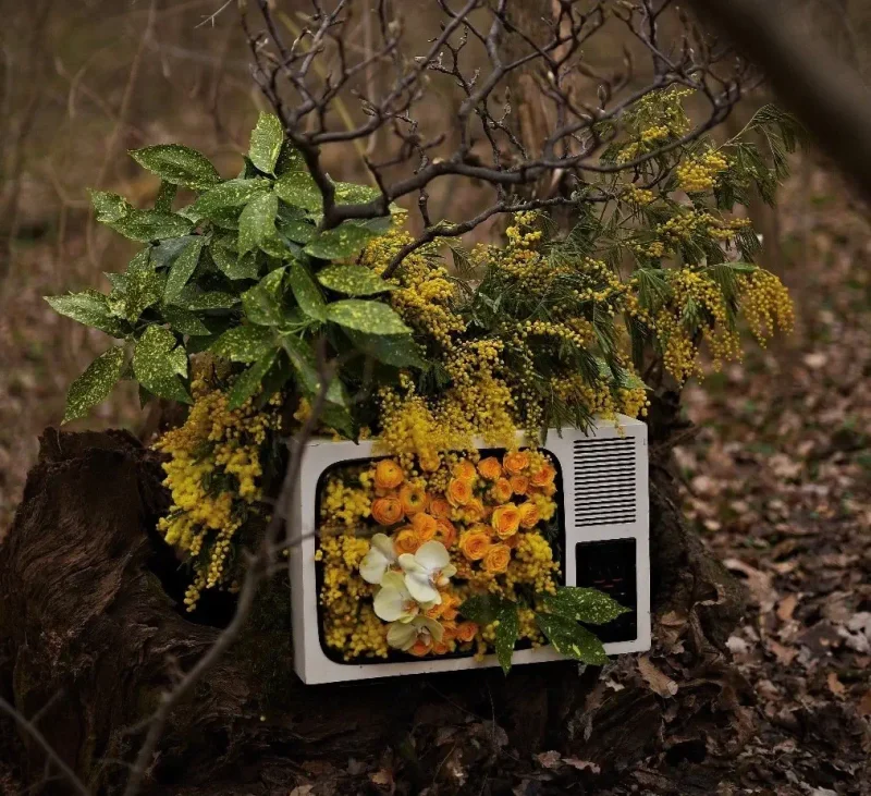 Colectare Deseuri Environ ECSR