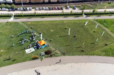 Metropolitan Life ECSR