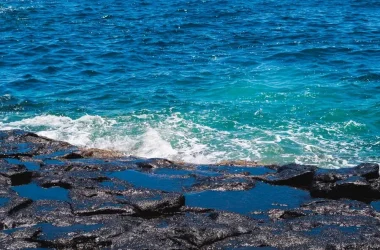 Temperaturi Marea Mediterana ECSR