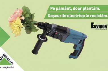 Leroy Merlin si Environ ECSR