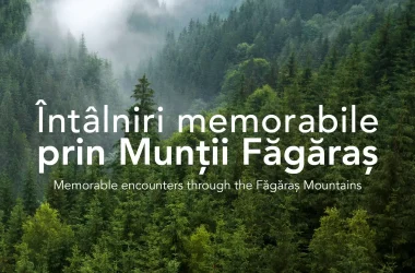 Conservation Carpathia ECSR