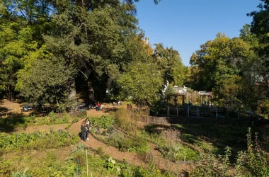 Gradina Istorică Grădina Botanică ECSR