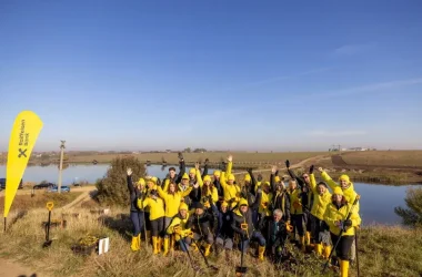 Plantare Smart Market ECSR